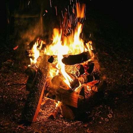 Appartamento Jackroot Heritage Athirappilly Kallana Esterno foto