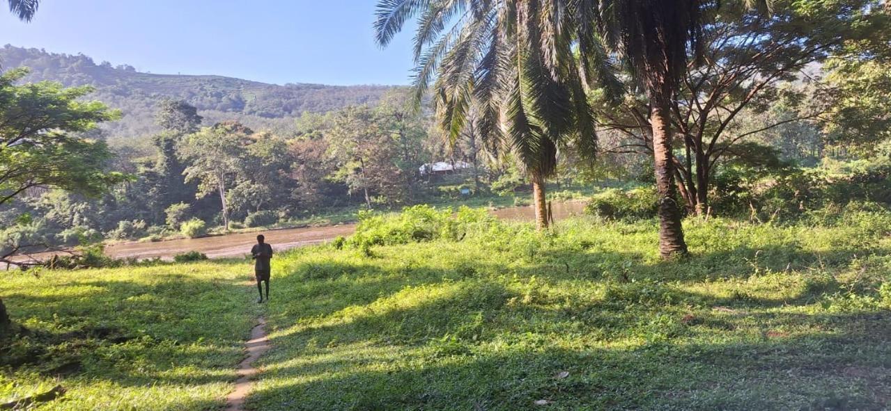 Appartamento Jackroot Heritage Athirappilly Kallana Esterno foto