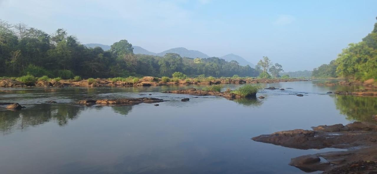 Appartamento Jackroot Heritage Athirappilly Kallana Esterno foto